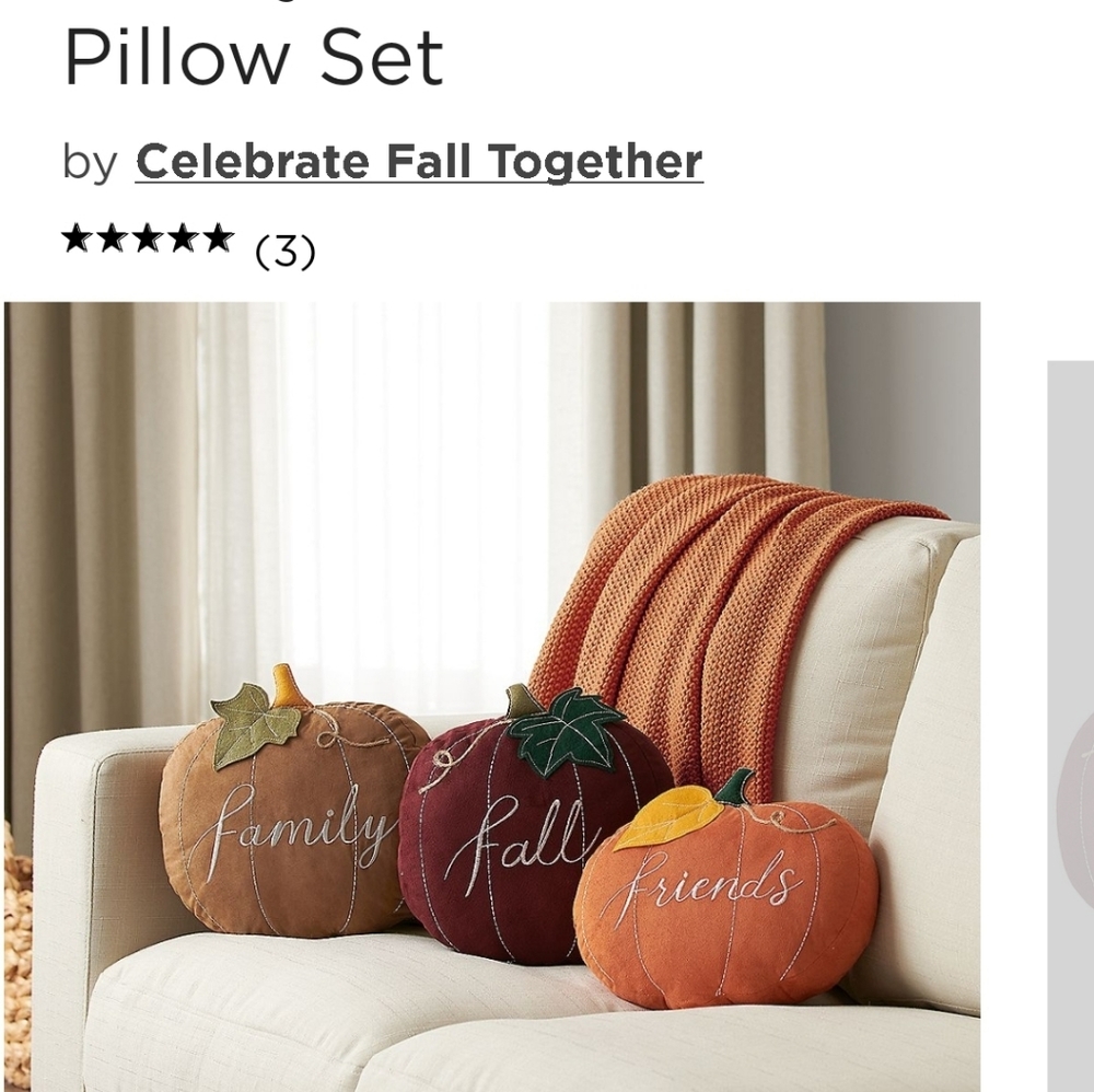 Fall pillow set..NWT